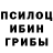 Псилоцибиновые грибы Cubensis Ximena Astorga