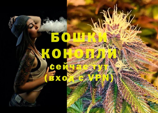 сатива Горняк