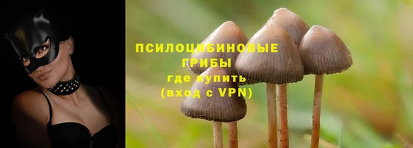 прущие крисы Алзамай