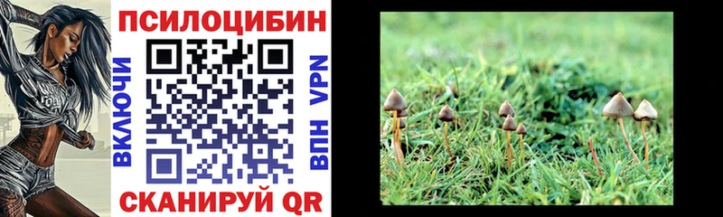 KRAKEN как зайти  Красноперекопск  Галлюциногенные грибы GOLDEN TEACHER 